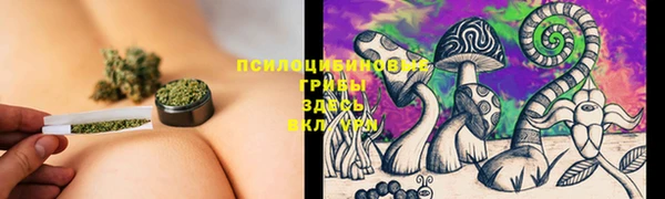 молекула духа Красноперекопск