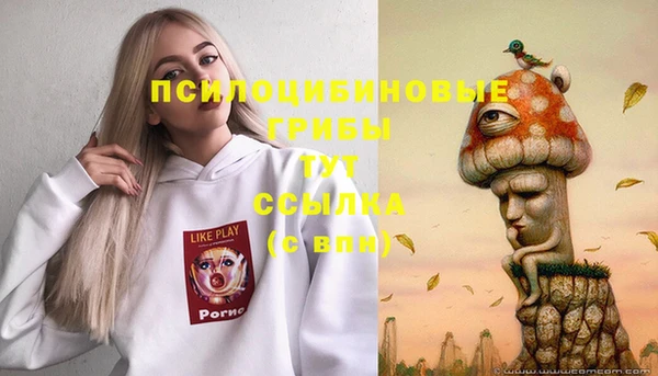 mdpv Алексеевка