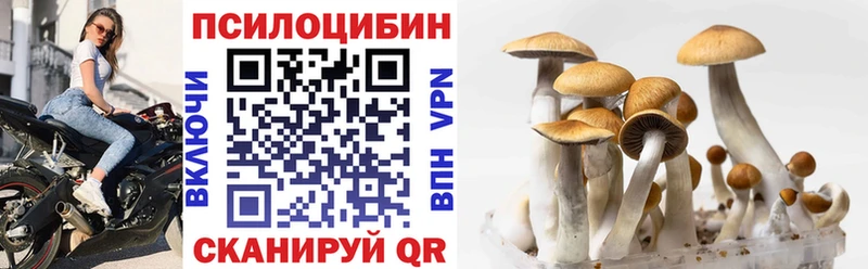 Псилоцибиновые грибы Psilocybe  Морозовск 