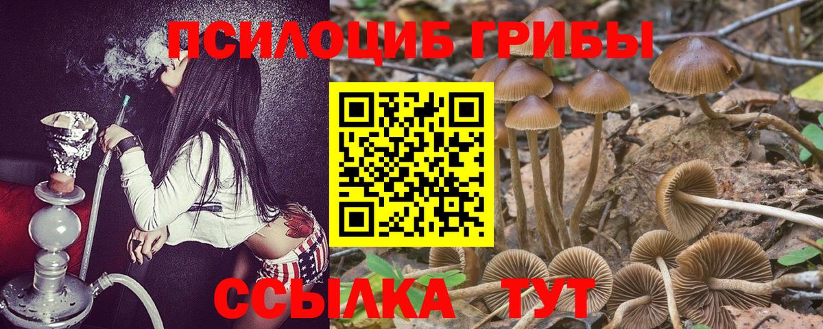 Галлюциногенные грибы ЛСД  Вход с VPN  Псилоцибиновые грибы ЛСД  Морозовск 